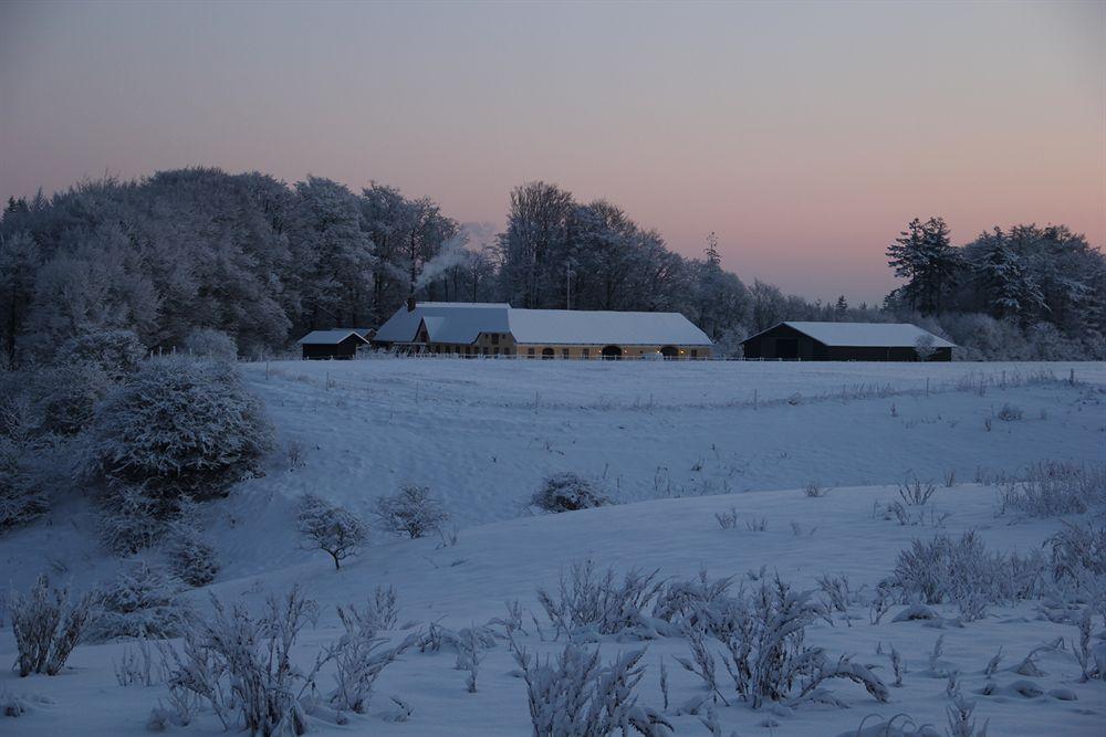 Munkebjerg Bed & Breakfast Borkop Exterior photo