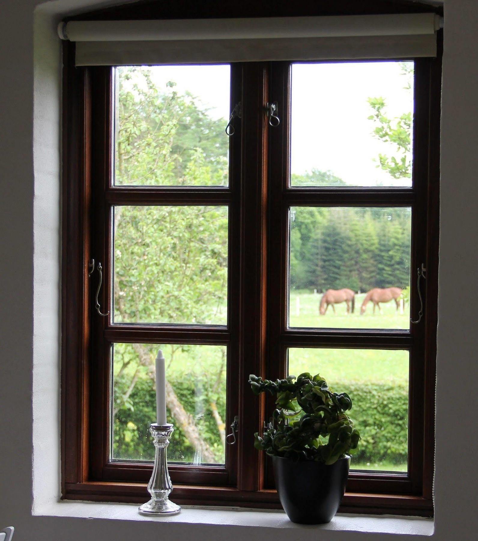 Munkebjerg Bed & Breakfast Borkop Exterior photo